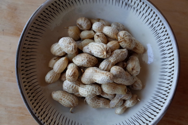 落花生は意外と強い 落花生を育てて秋の収穫を楽しもう 四方山商店